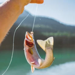 Pro Angelset Komplett Angelcombo Allround. Rute & Rolle & Schnur Köder Zubehör -Professionelles Angelausrüstungsgeschäft My project 2022 07 20T154226 027 1