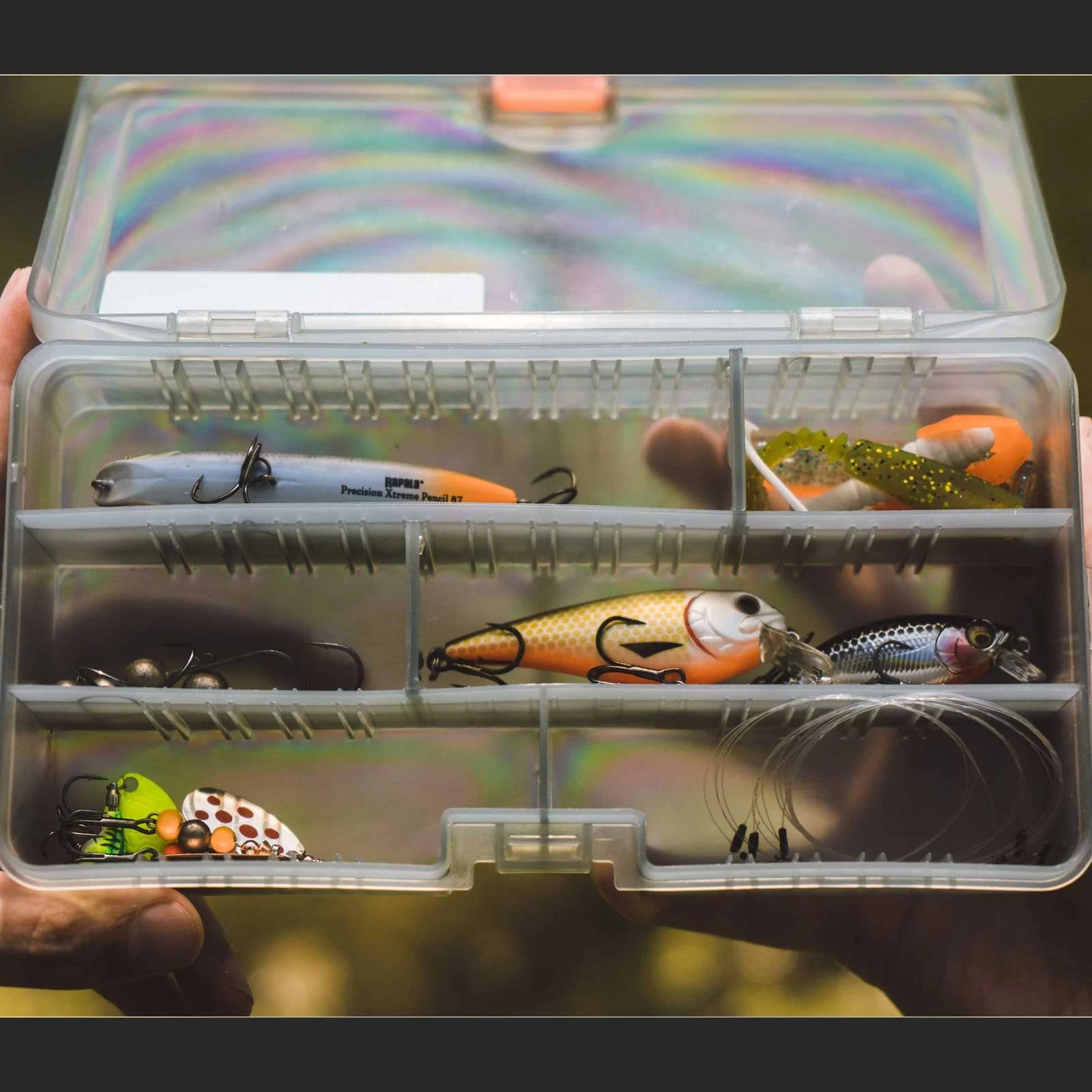 Forelle/Barsch Einsteigerset By Fishing-King 2 Forelle/Barsch Einsteigerset By Fishing-King – Bild 2