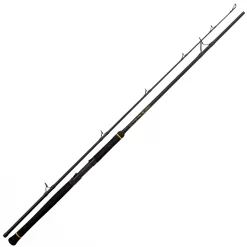 Black Cat Rolle Passion Pro & Black Cat Rute 2,40m 50-200g Wels Waller Angelset Combo -Professionelles Angelausrüstungsgeschäft black cat rolle passion pro black cat rute 2 40m 50 200g wels waller combo rute