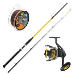 WFT Schnur & Rute 2,70m 250-1000g & Black Cat Rolle Waller Wels Angelset Combo